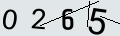 verifycode